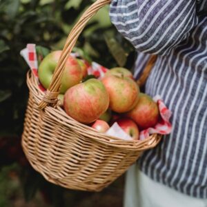 apple picking fall bucket list