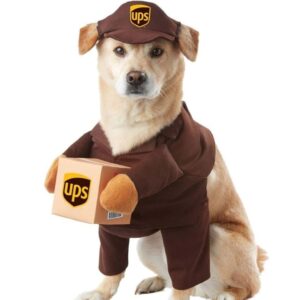 best dog halloween costumes 2023 ups worker