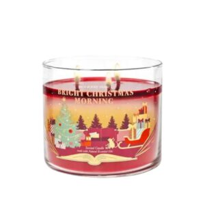holiday winter candles bath and body works bright christmas morning