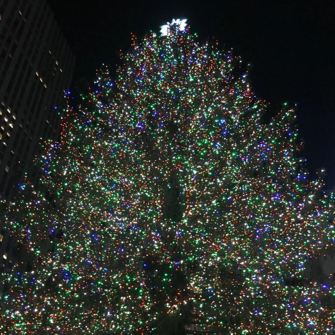 10 Things to Do in New York City for a Magical Holiday Experience ...